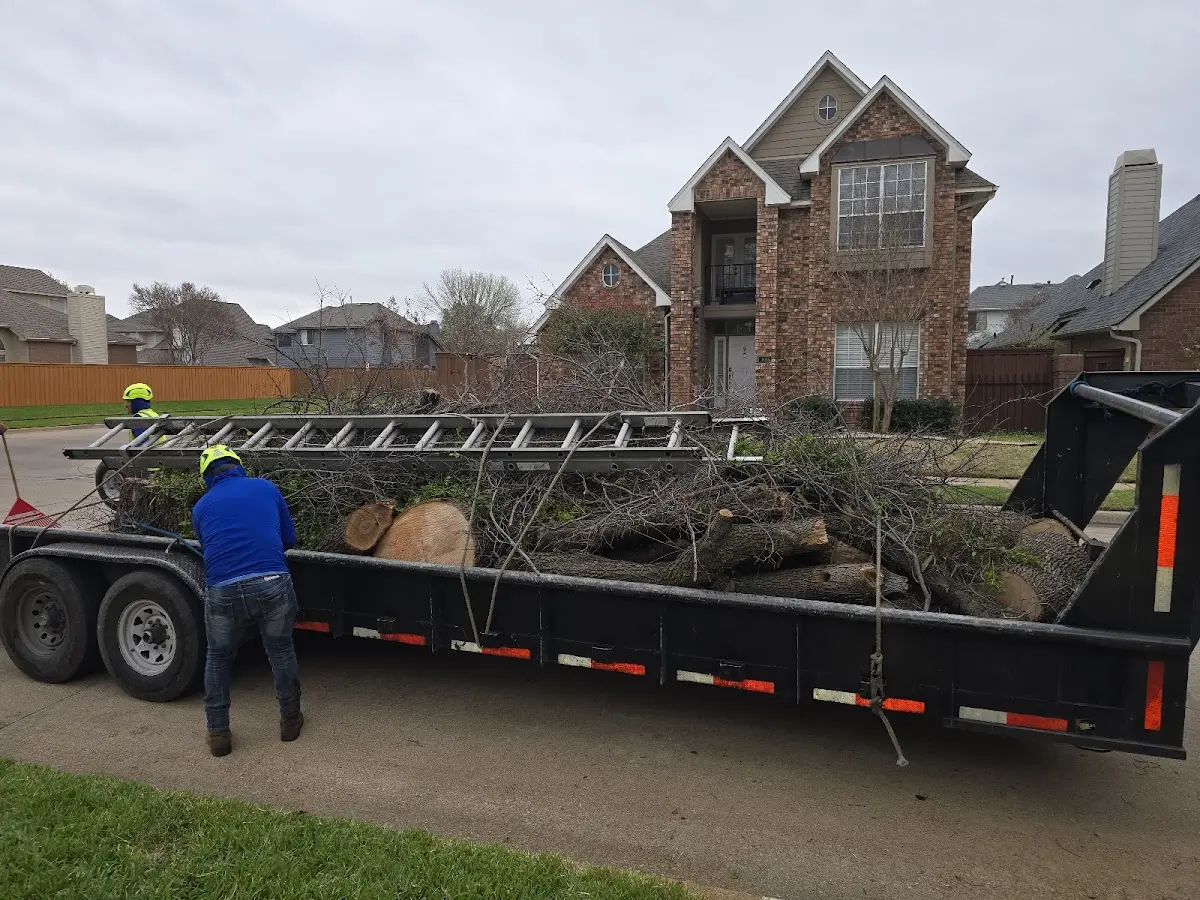 Expert Tree Fertilization with proper safety equipment in Gotha